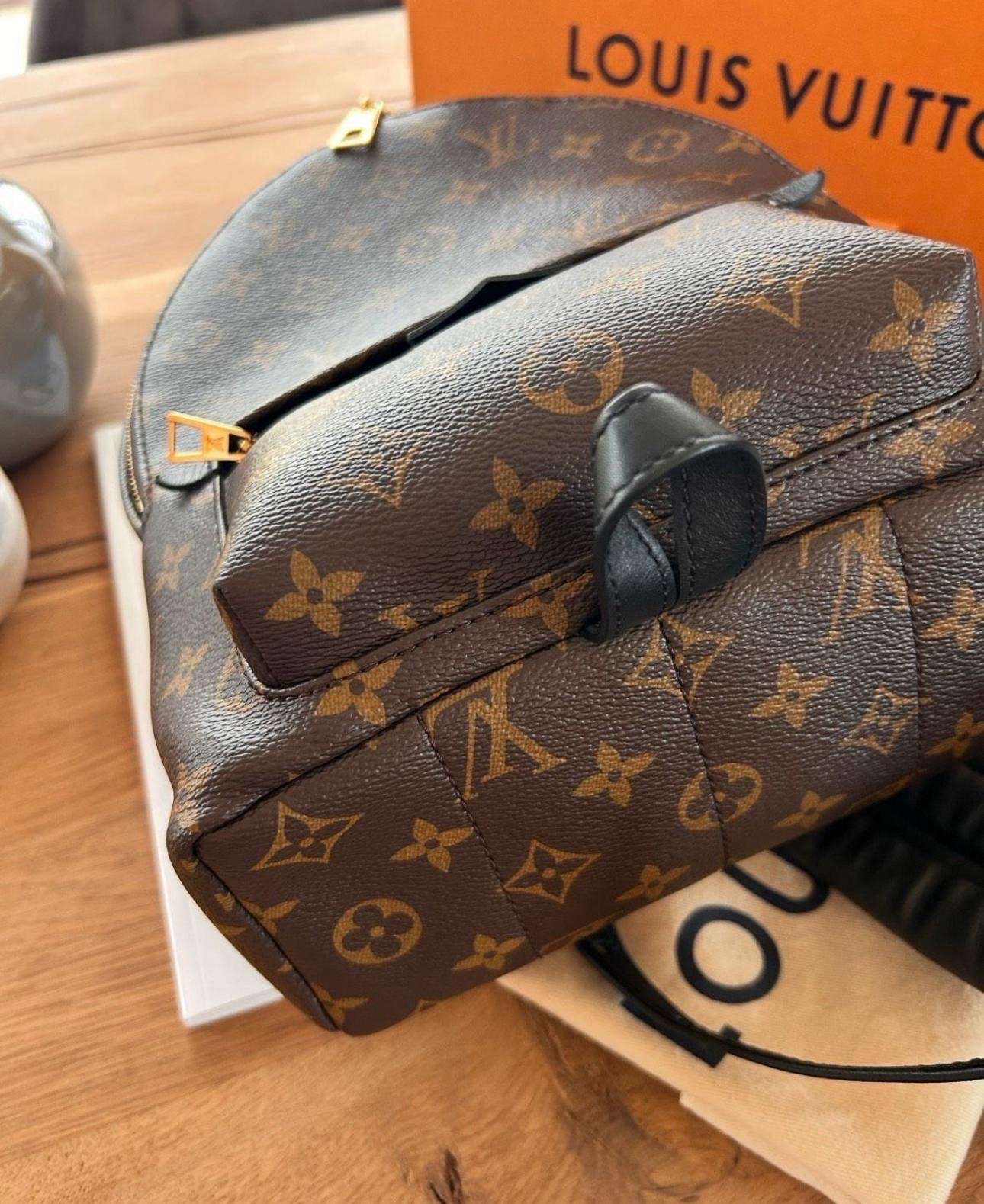 Louis Vuitton palm spring PM