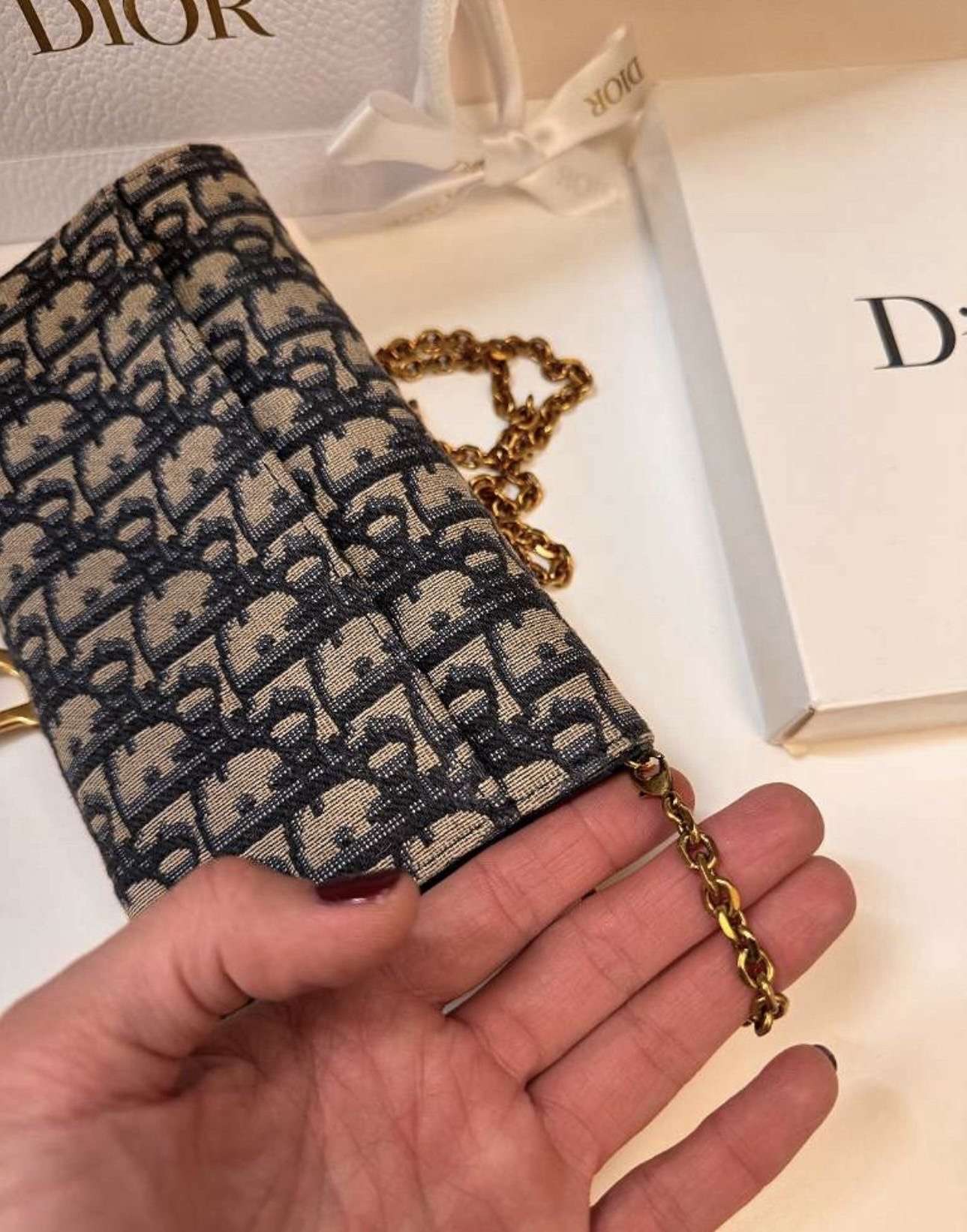 Dior crossbody pouch