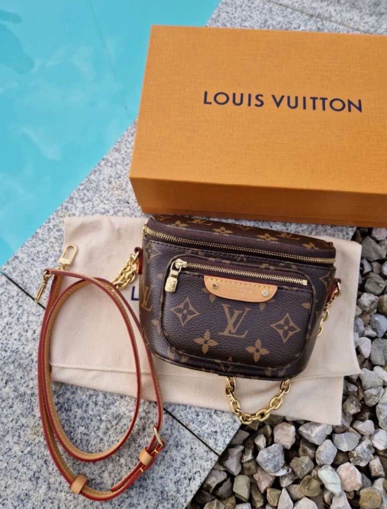Louis Vuitton Bumbag