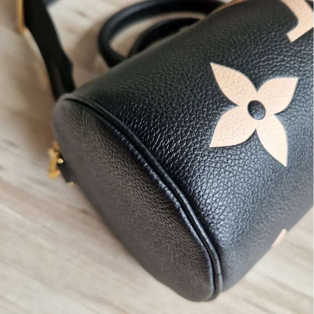 Louis Vuitton Papillon BB