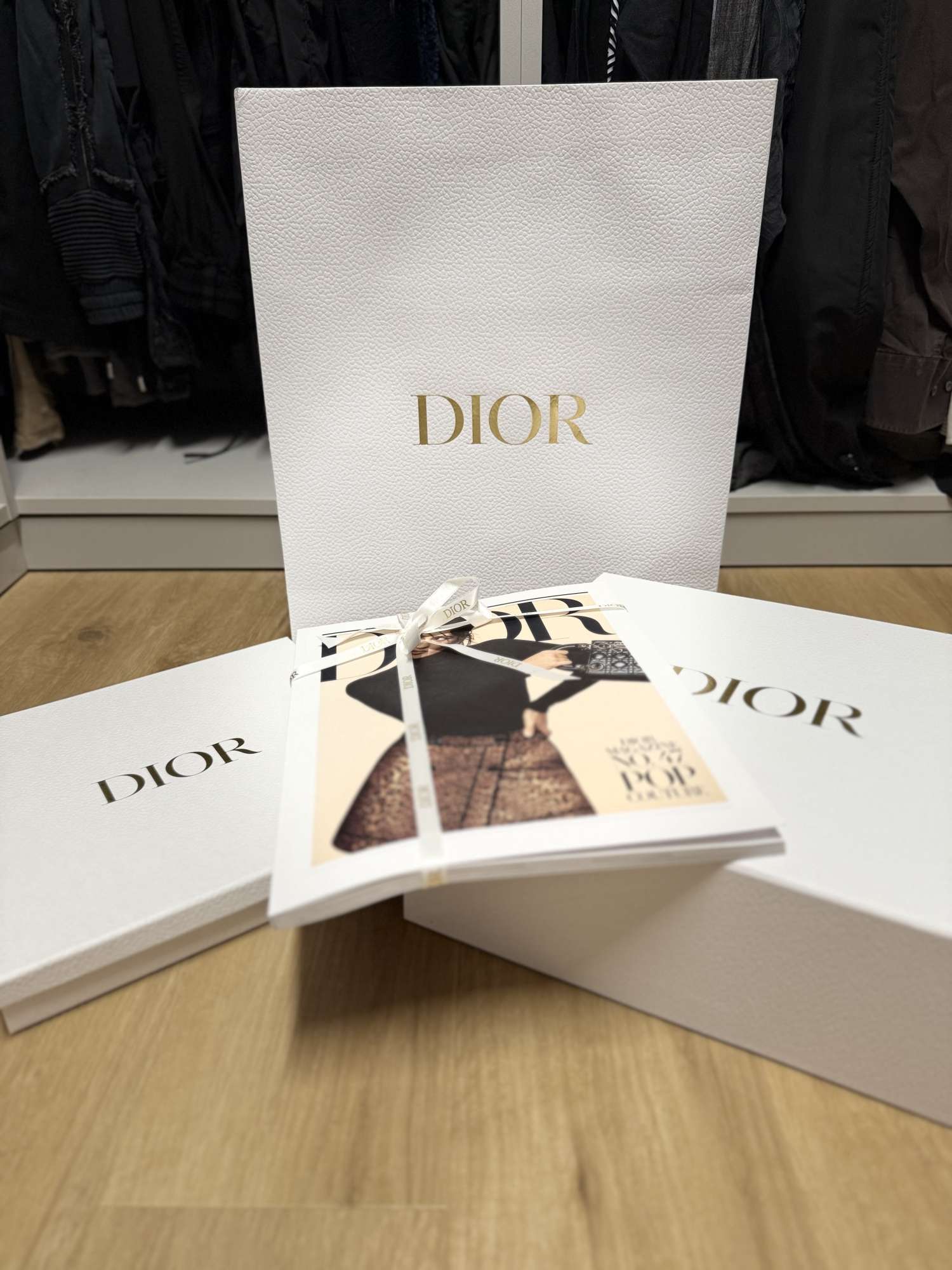 DIOR Saddle Medium calfskin