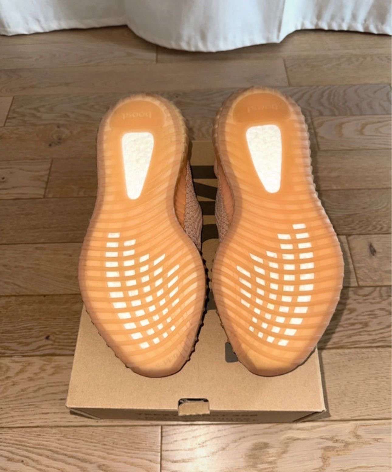 Adidas Yeezy Clay 350