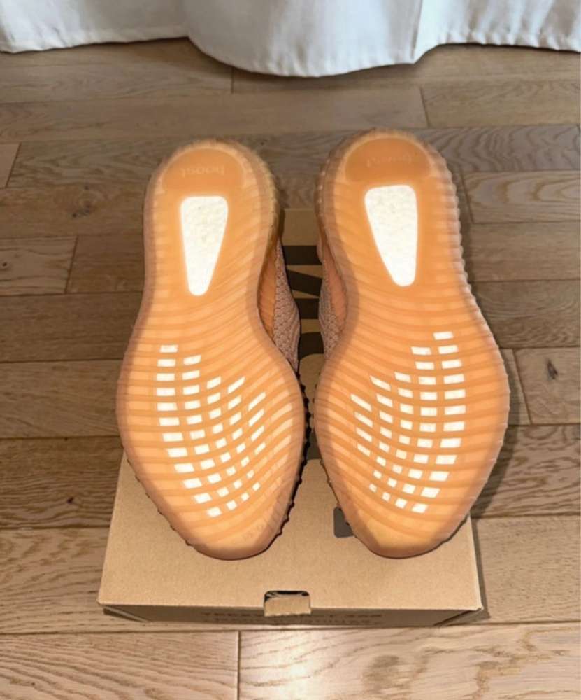Adidas Yeezy Clay 350