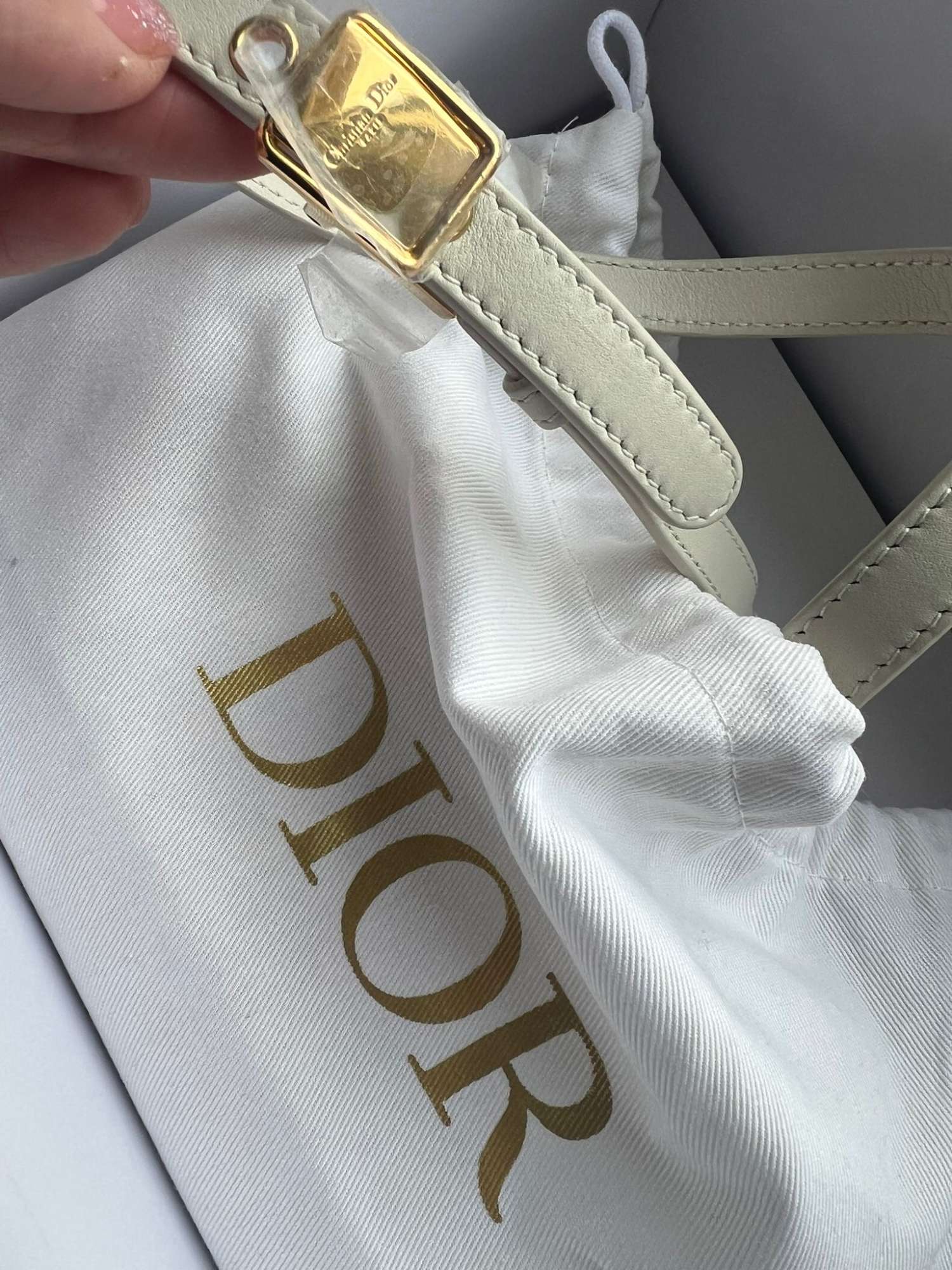 Dior 3D Montaige crossbody