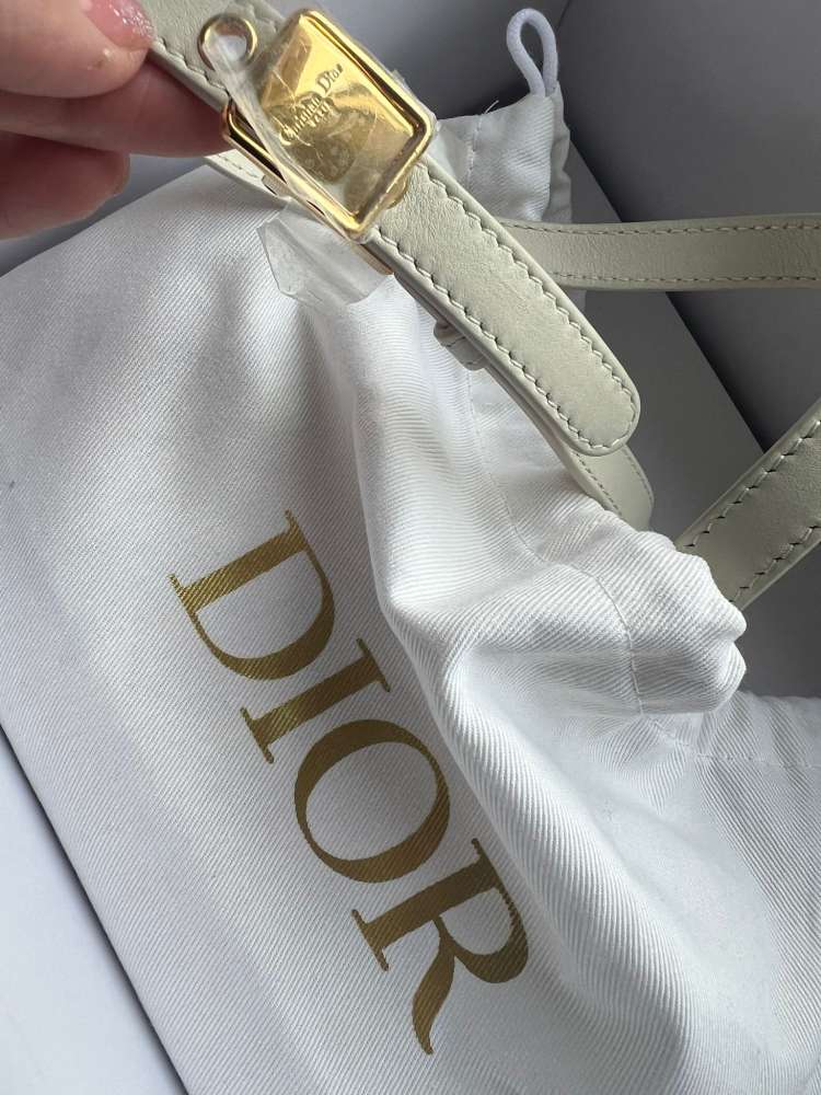 Dior 3D Montaige crossbody