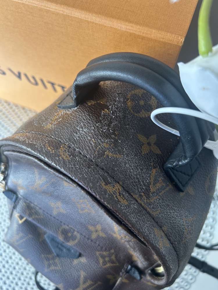 Louis Vuitton mini palm ruksak