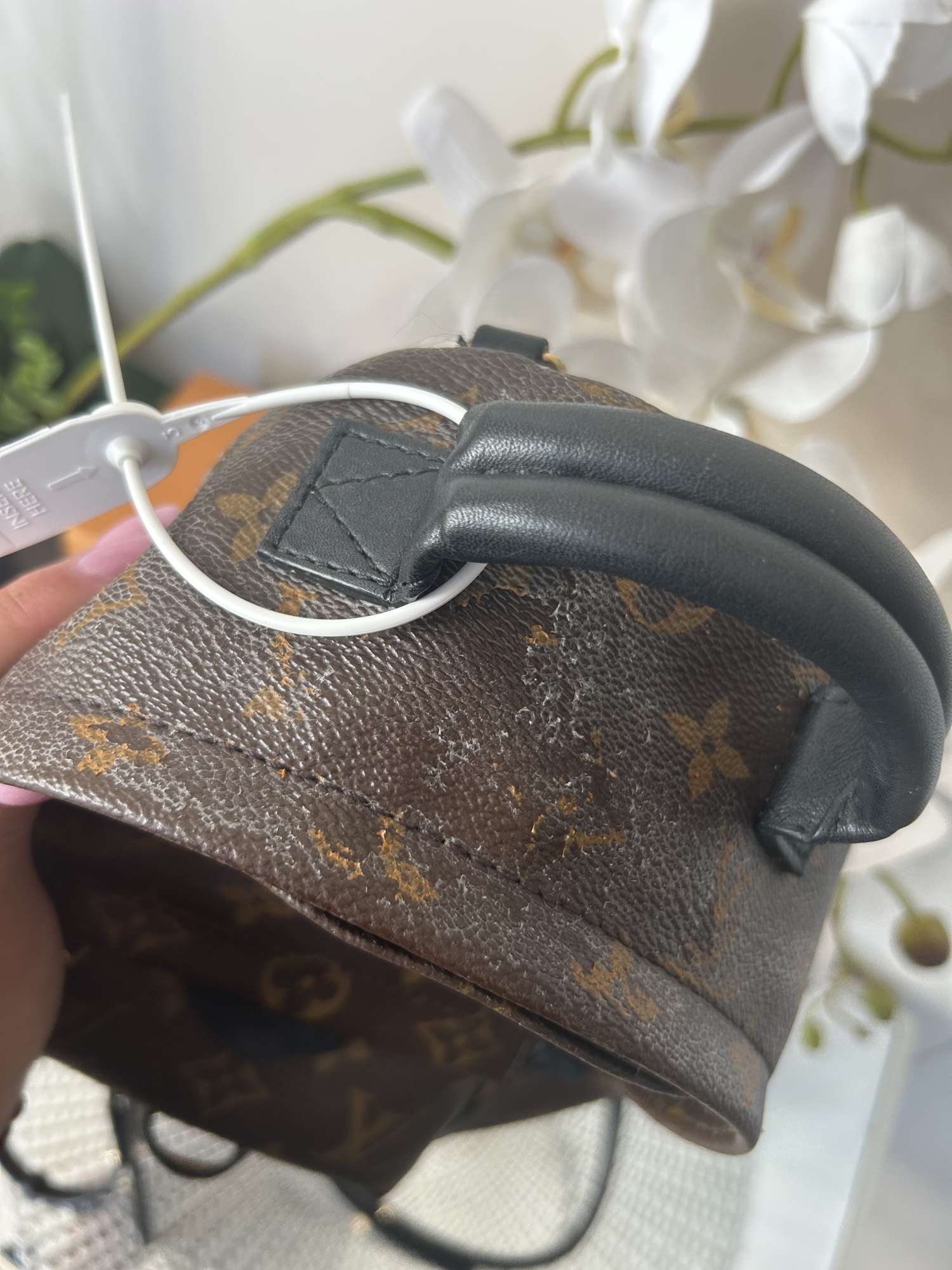 Louis Vuitton mini palm ruksak