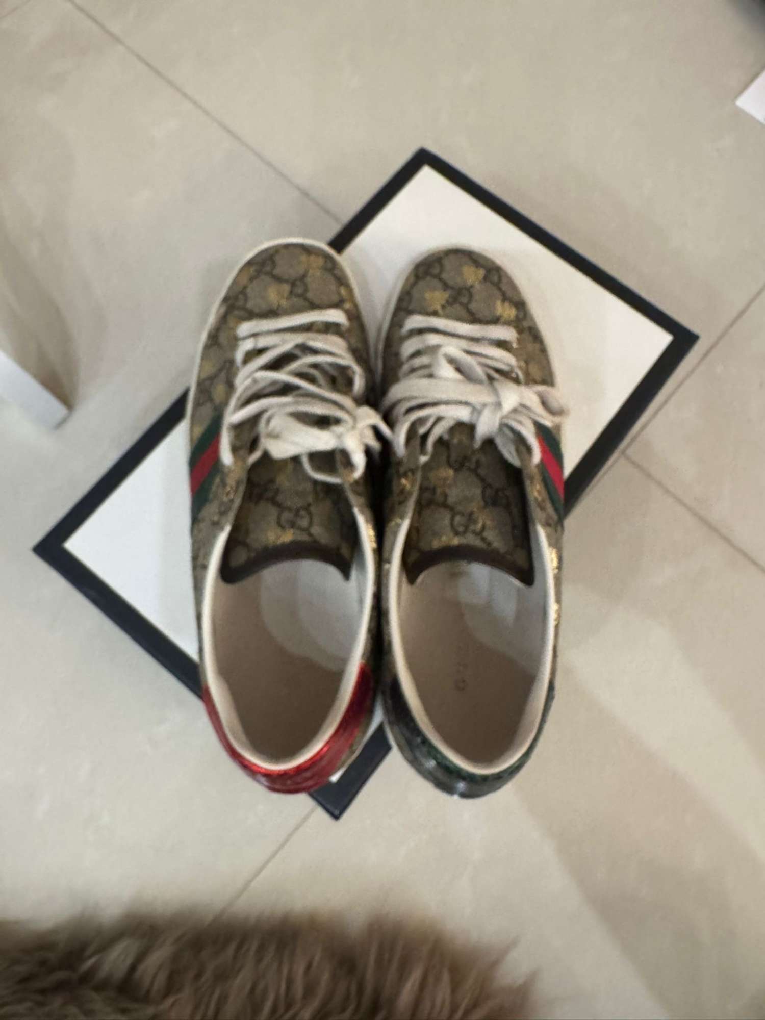 Gucci ace tenisky