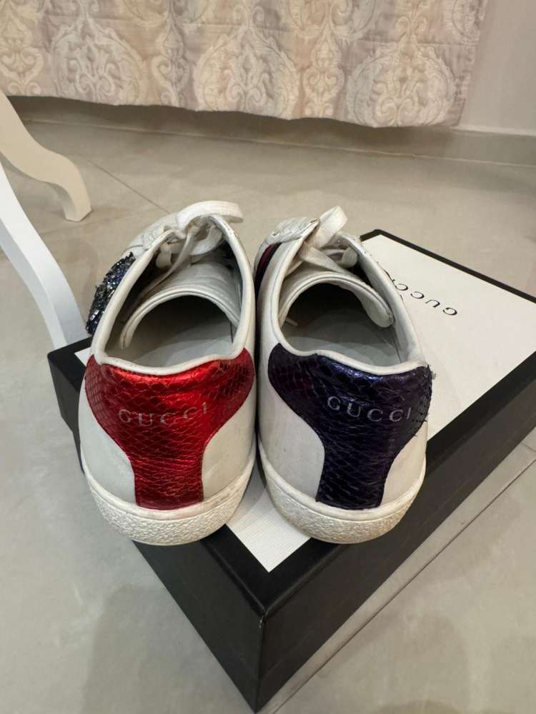Gucci ace tenisky