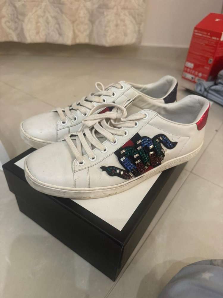 Gucci ace tenisky