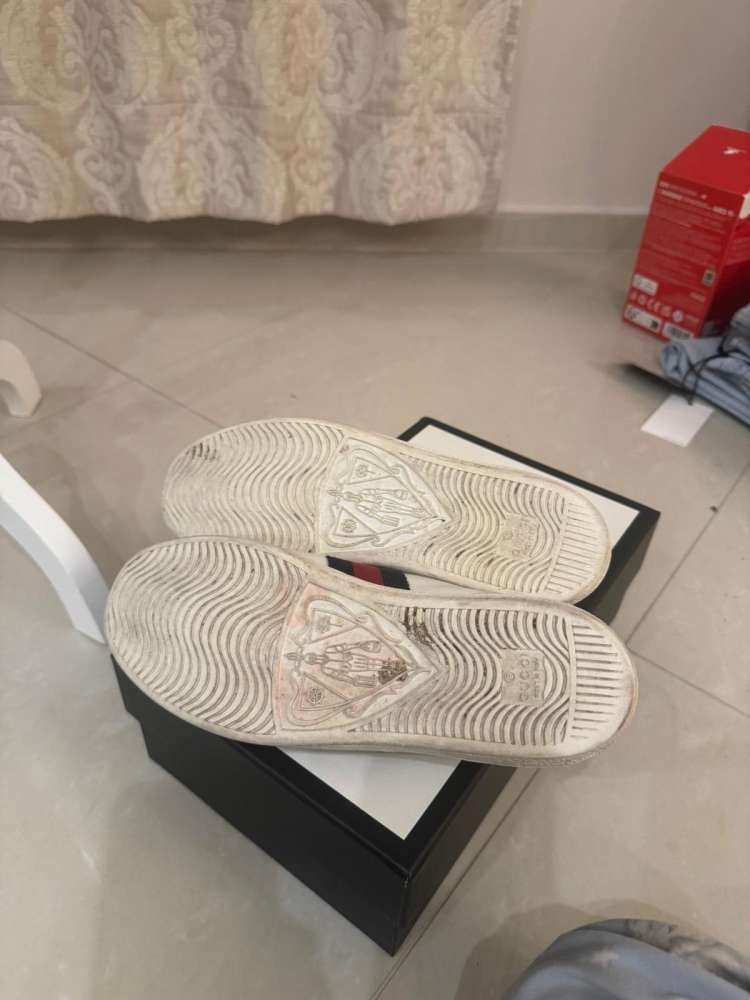 Gucci ace tenisky