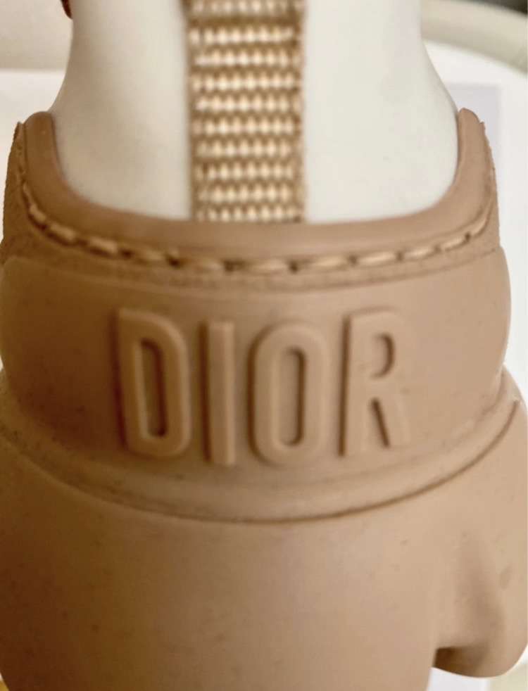 Dior D-connect sneakers