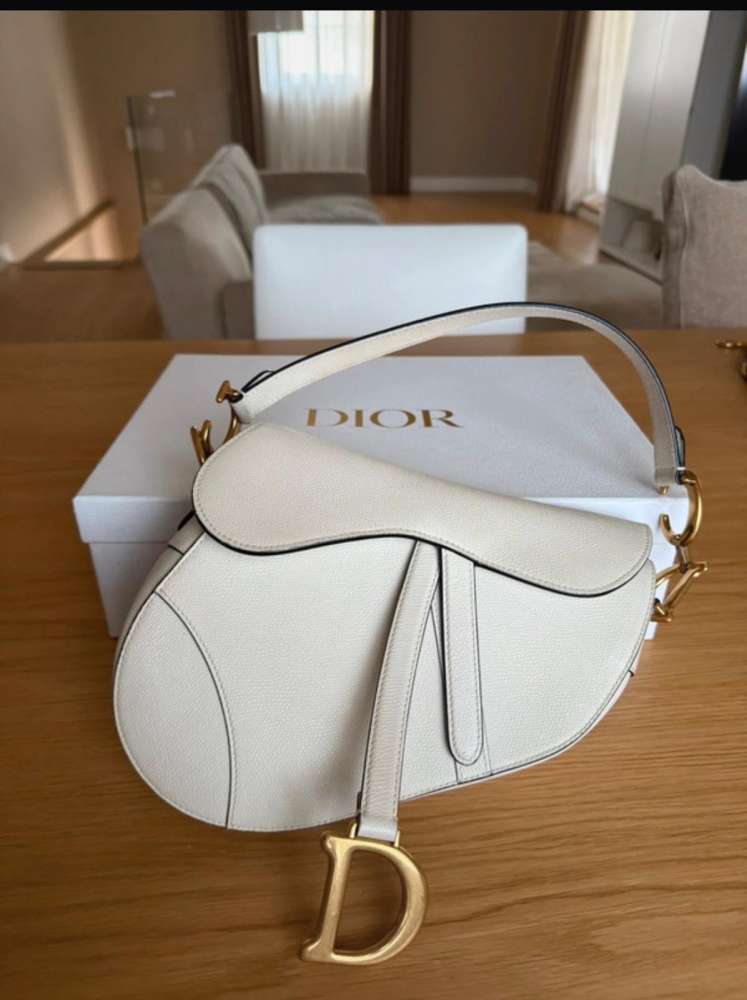 Dior saddle bag