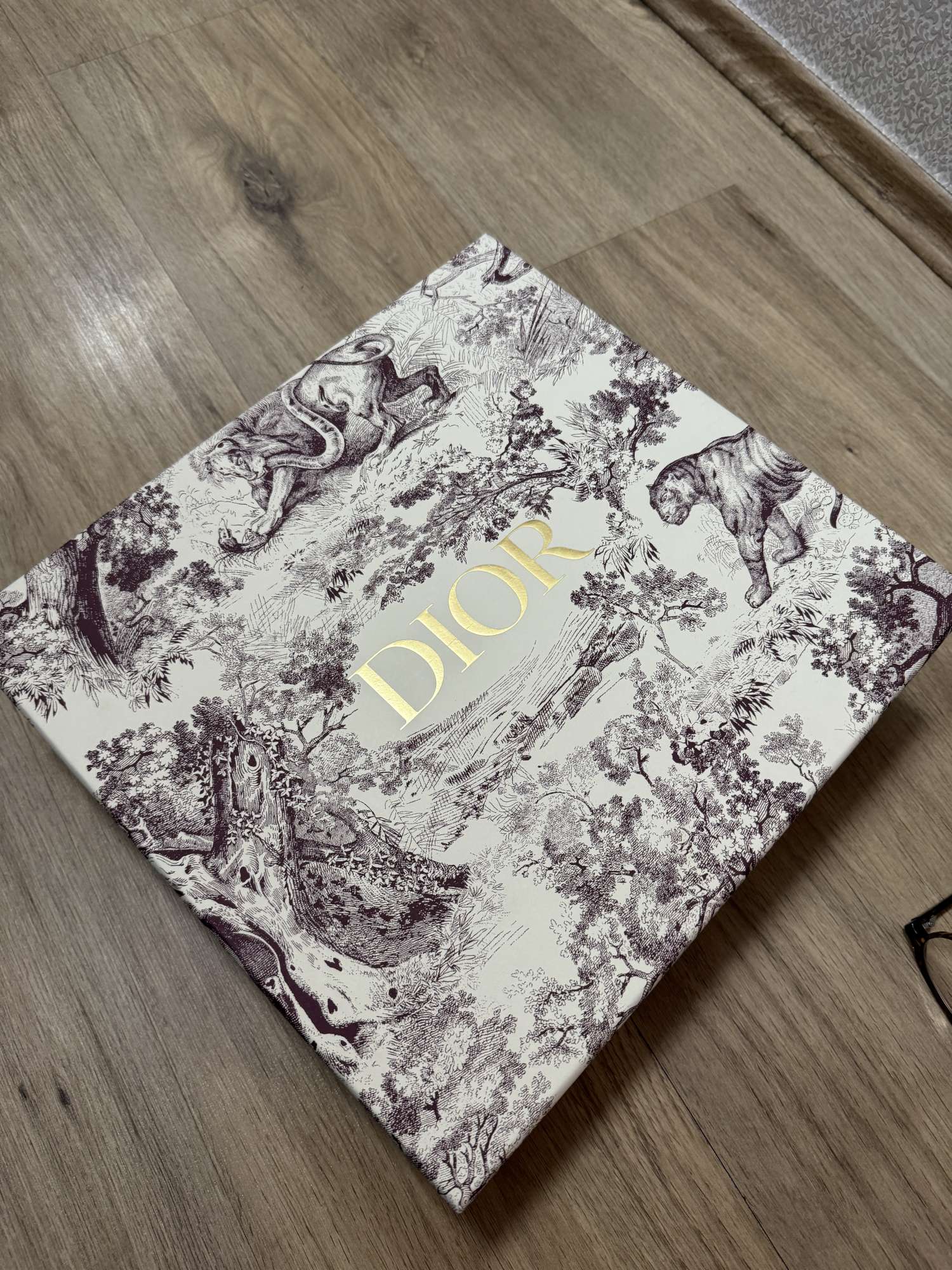 Christian DIOR  boots