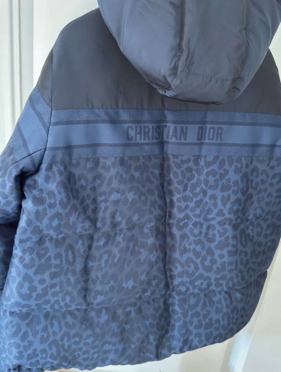 Dior zimna bunda