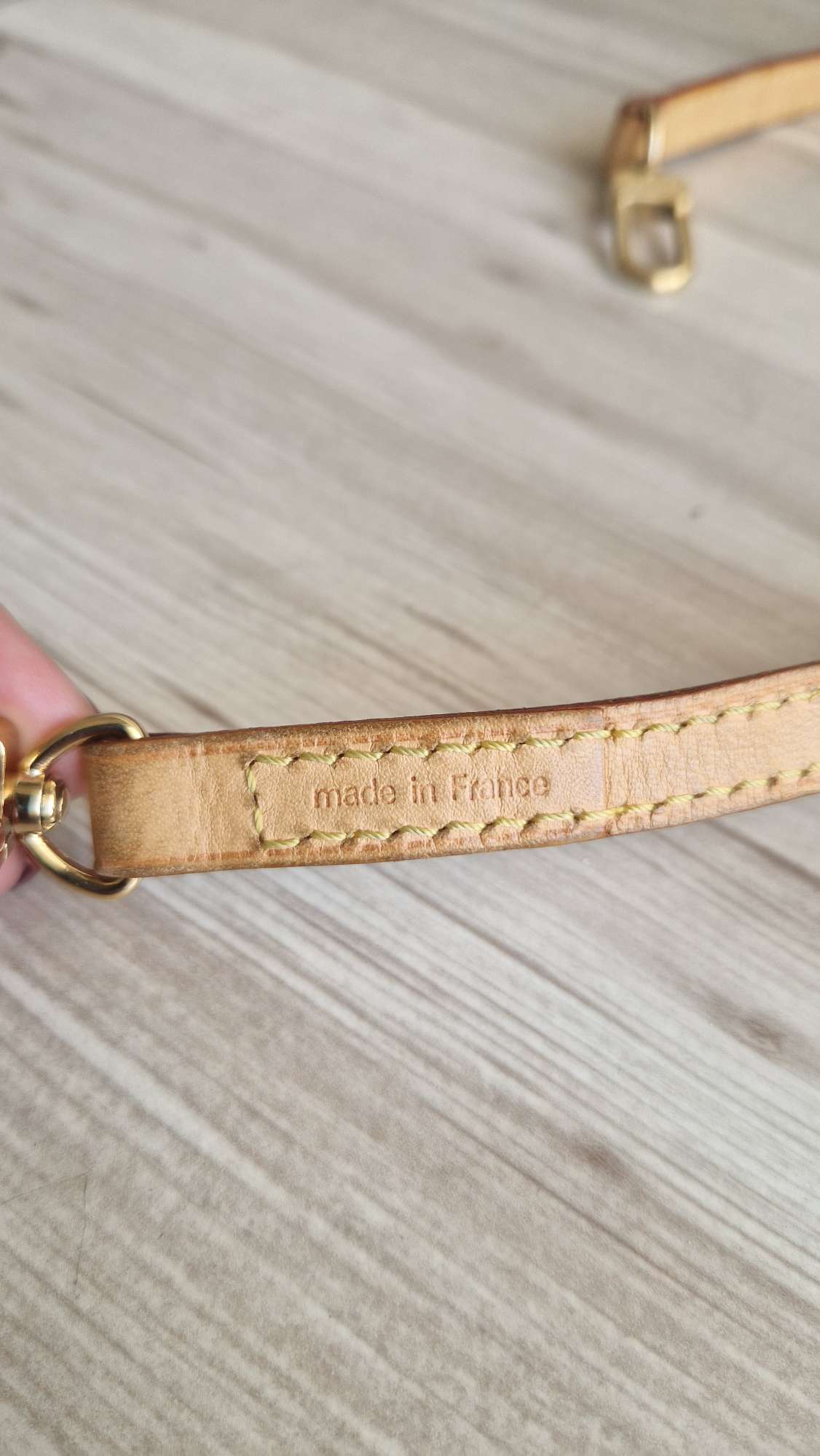 Louis Vuitton Popruh