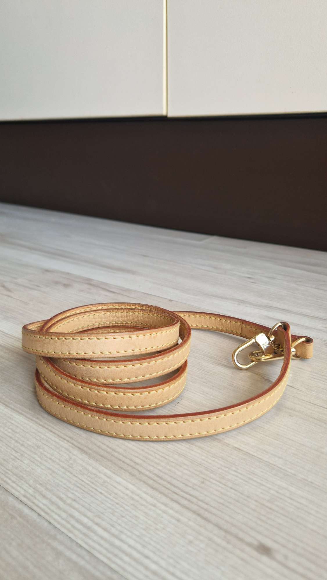 Louis Vuitton Popruh