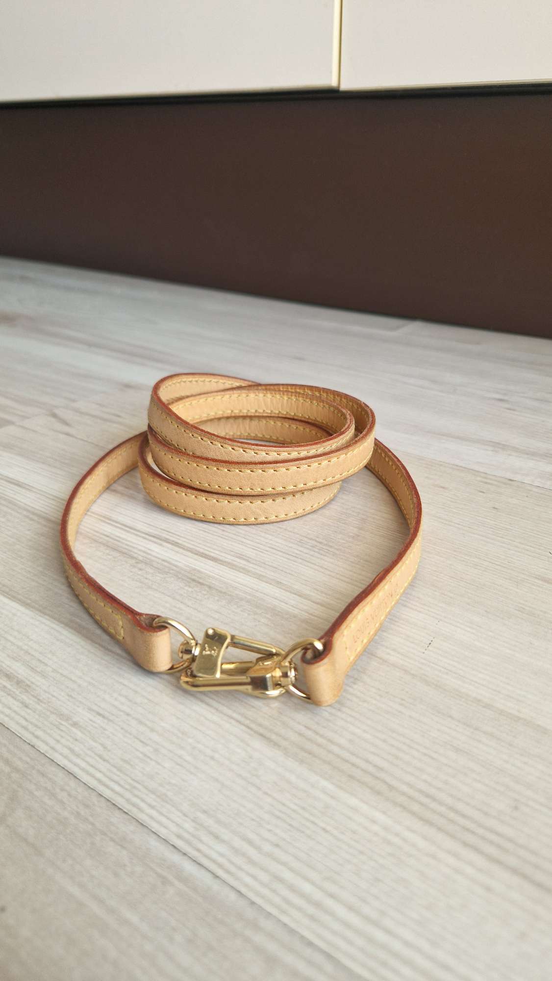 Louis Vuitton Popruh