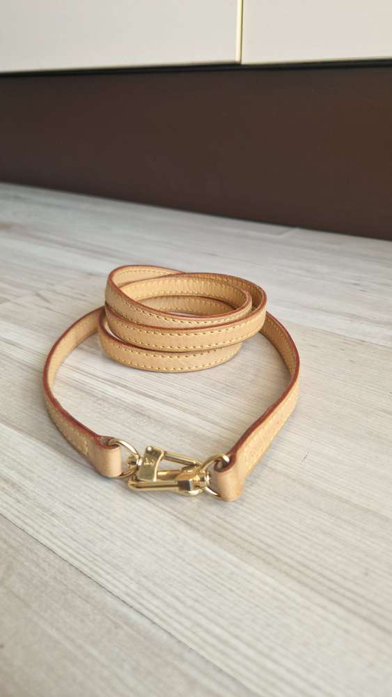 Louis Vuitton Popruh