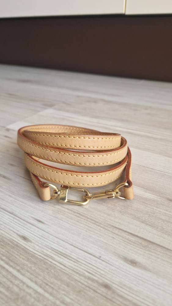 Louis Vuitton Popruh