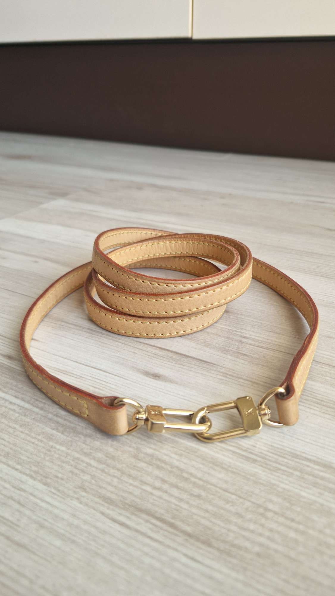 Louis Vuitton Popruh