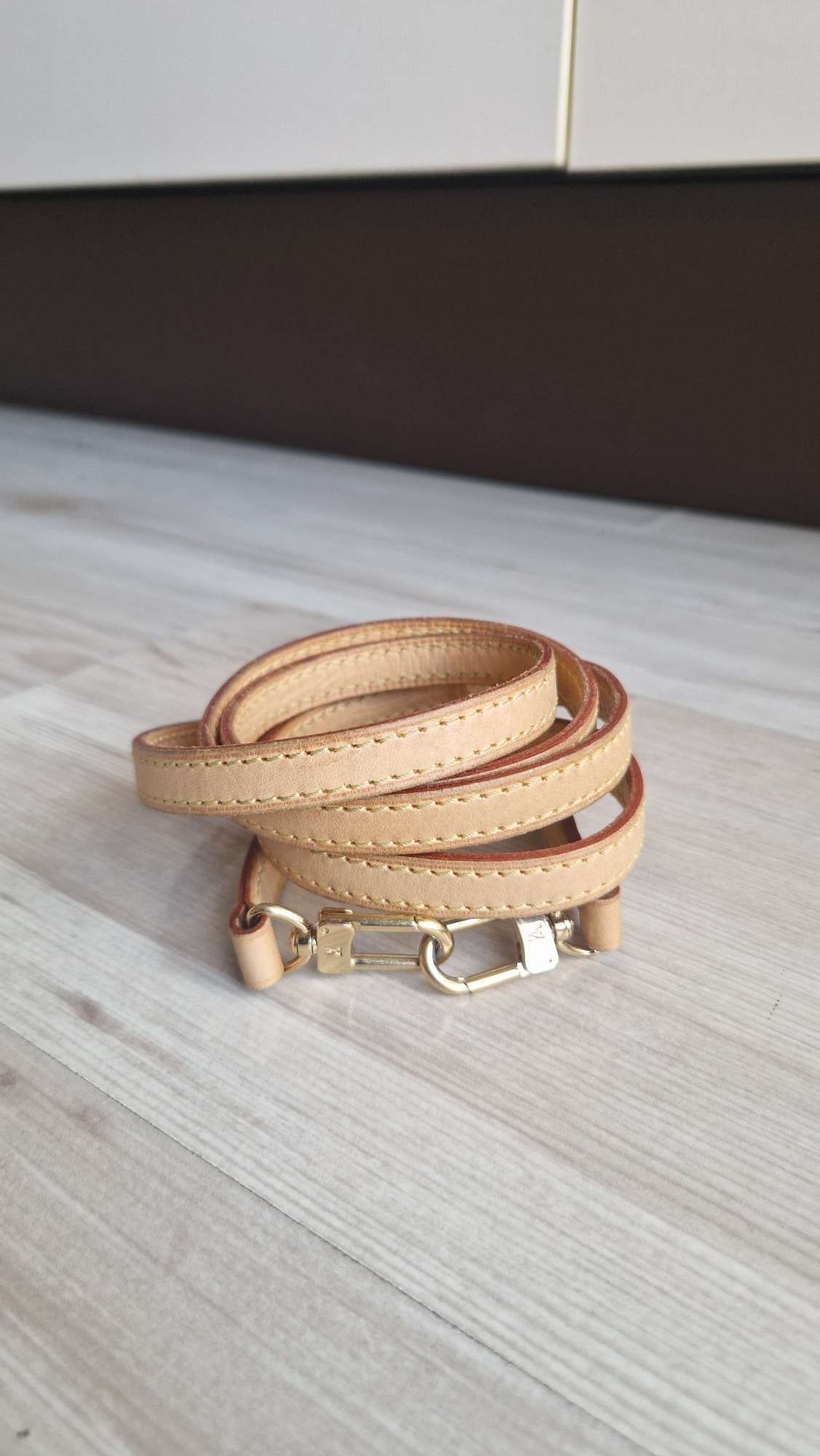 Louis Vuitton Popruh