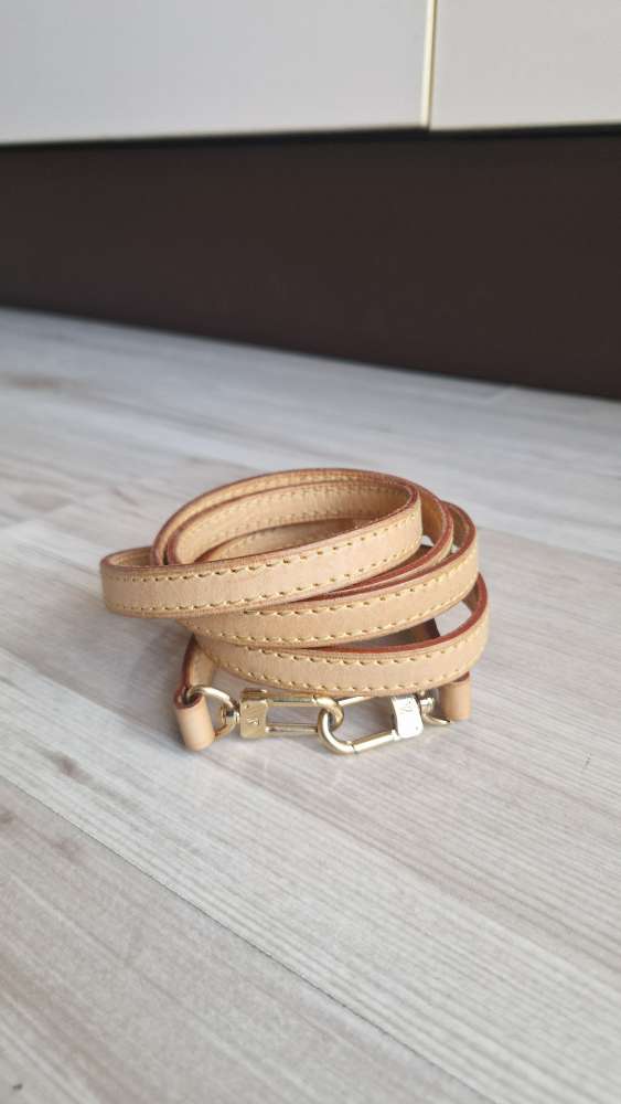 Louis Vuitton Popruh