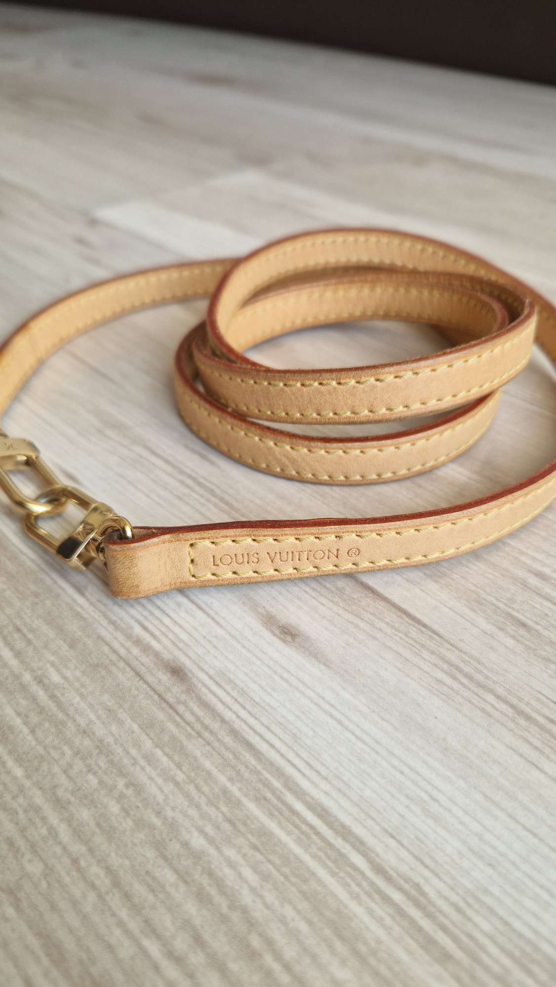 Louis Vuitton Popruh