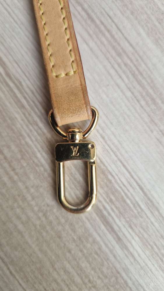 Louis Vuitton Popruh