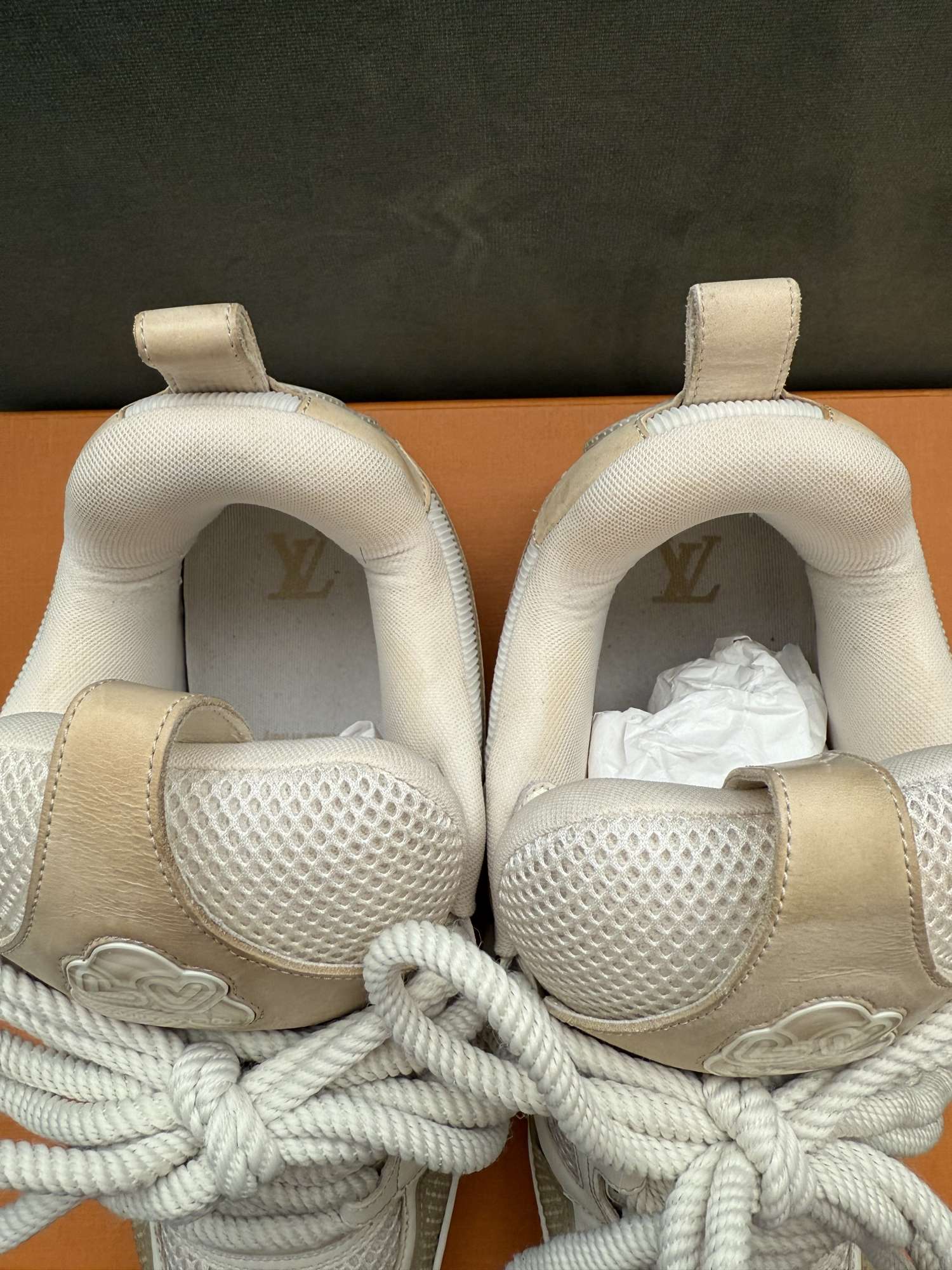 Louis Vuitton skate sneakers