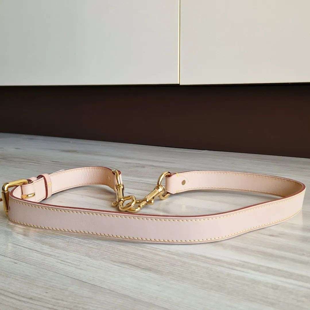 Louis Vuitton Popruh