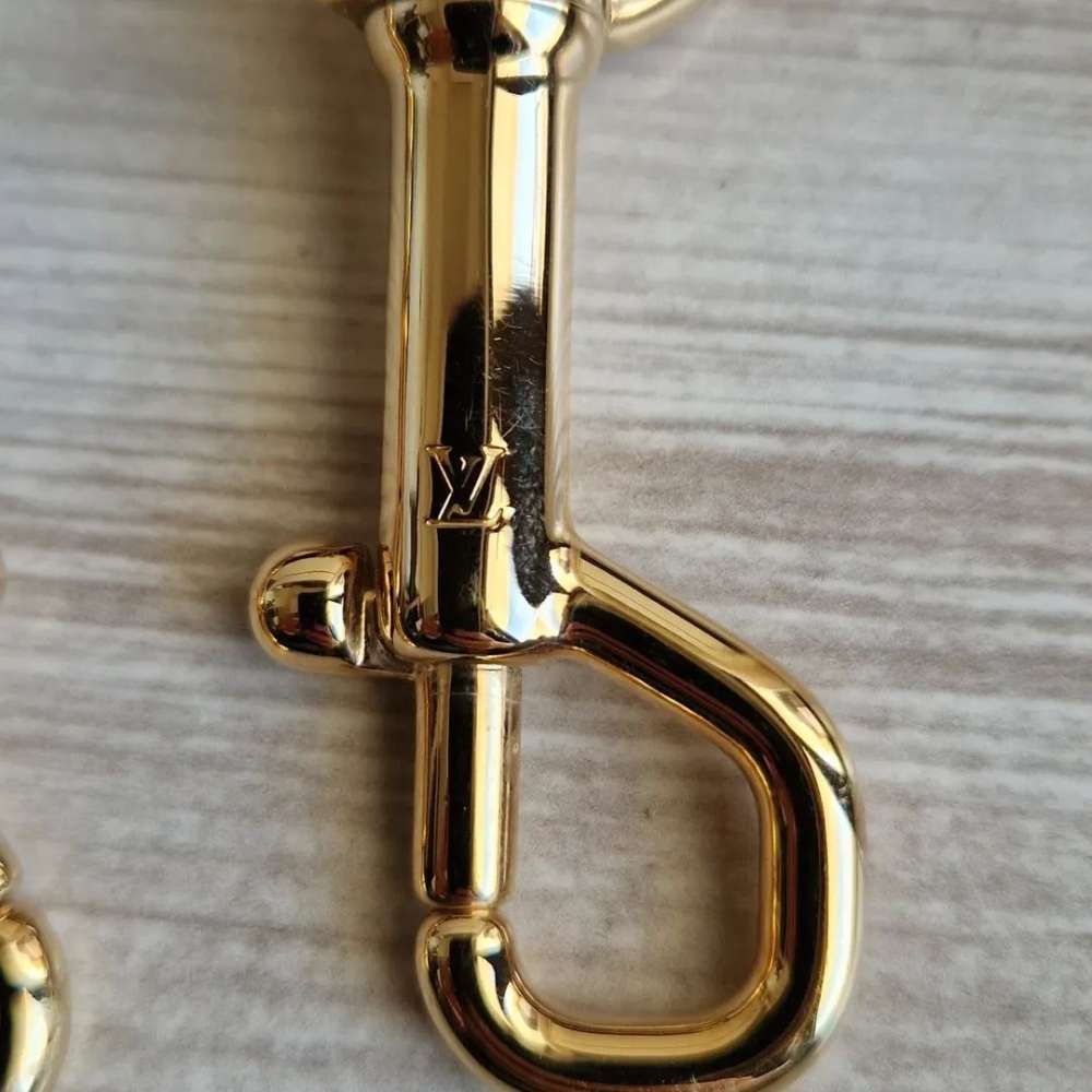 Louis Vuitton Popruh