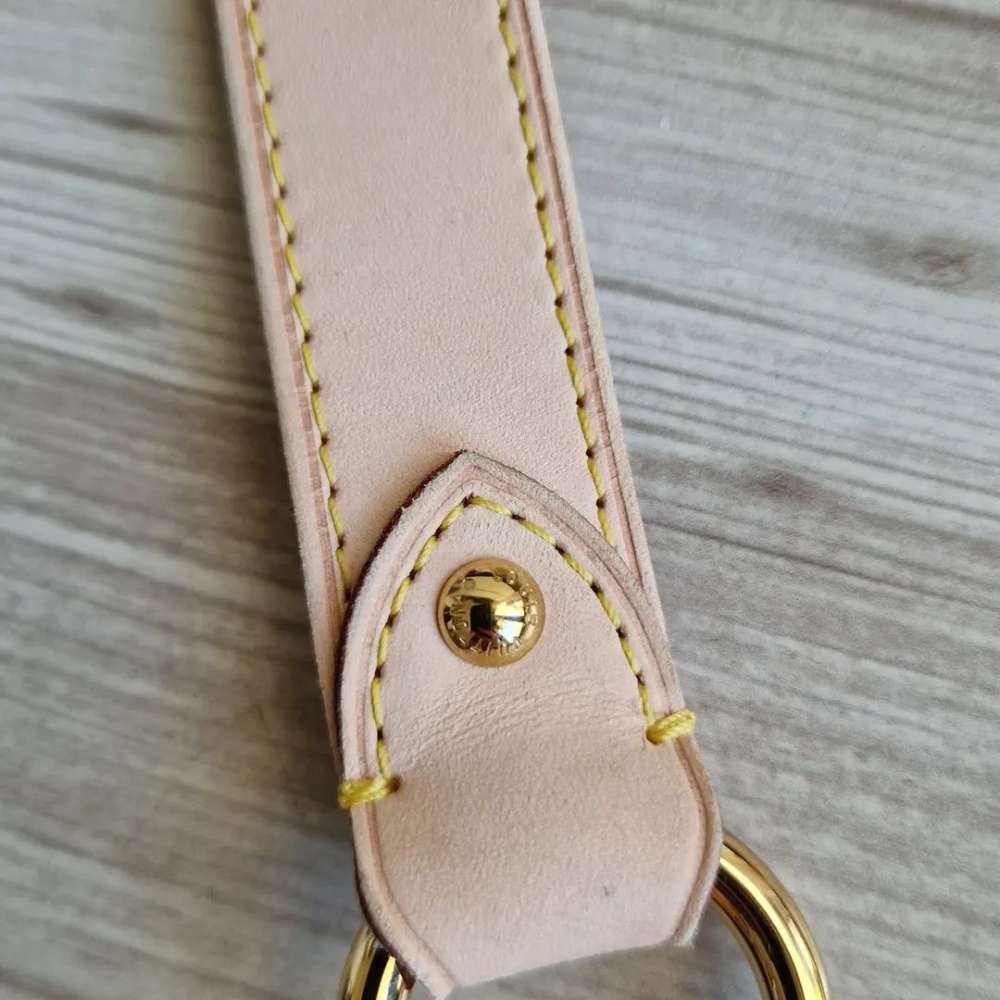 Louis Vuitton Popruh