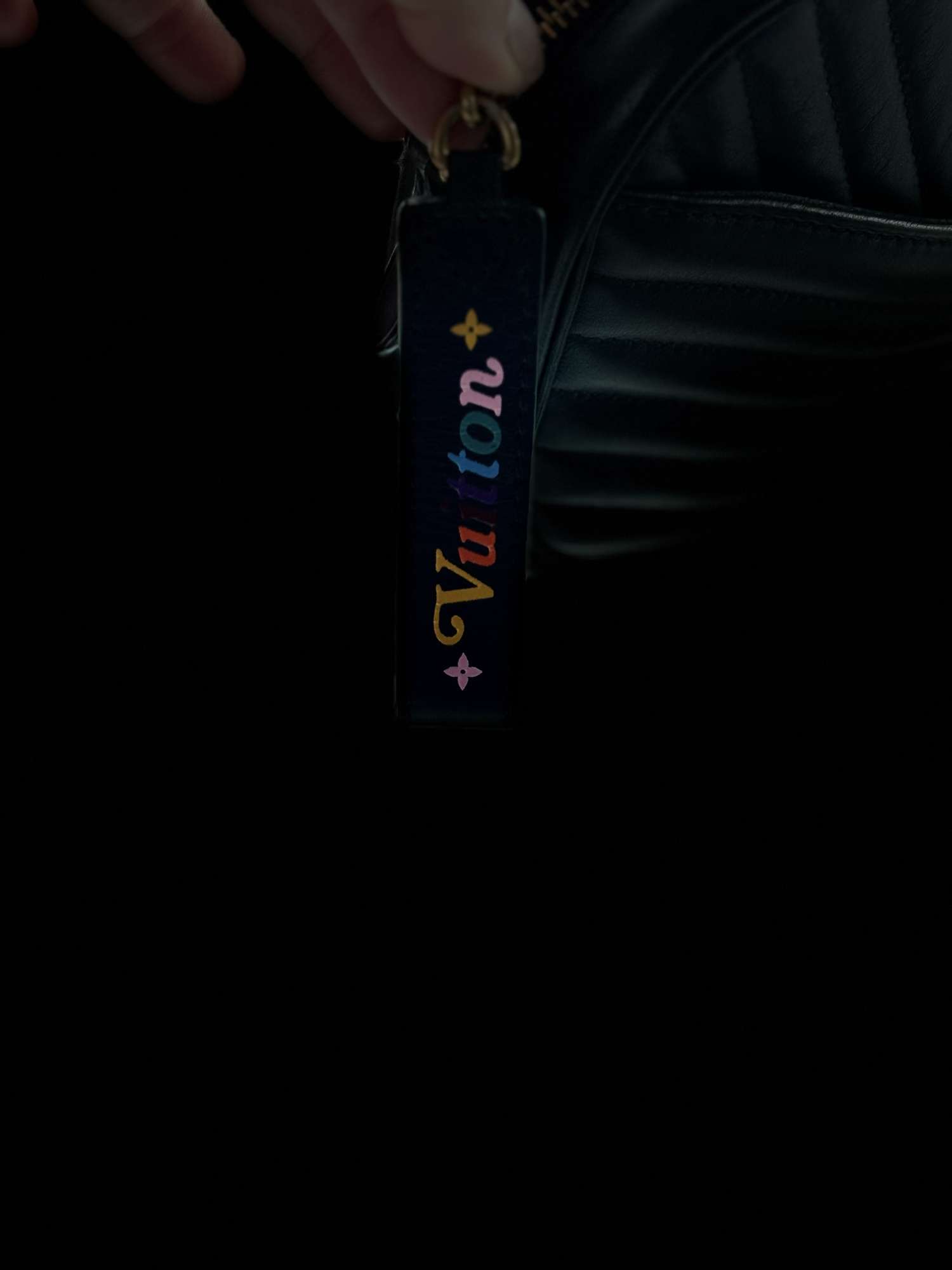 Taška na fotoaparát Louis Vuitton Wave