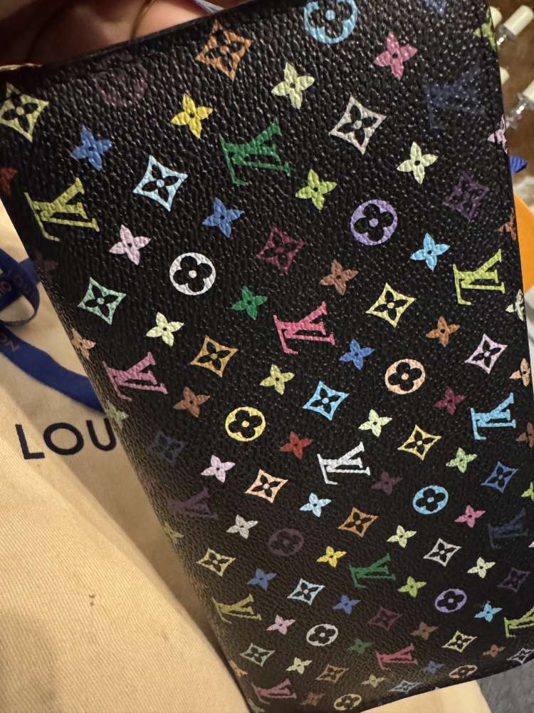Louis Vuitton multicolor Insolite