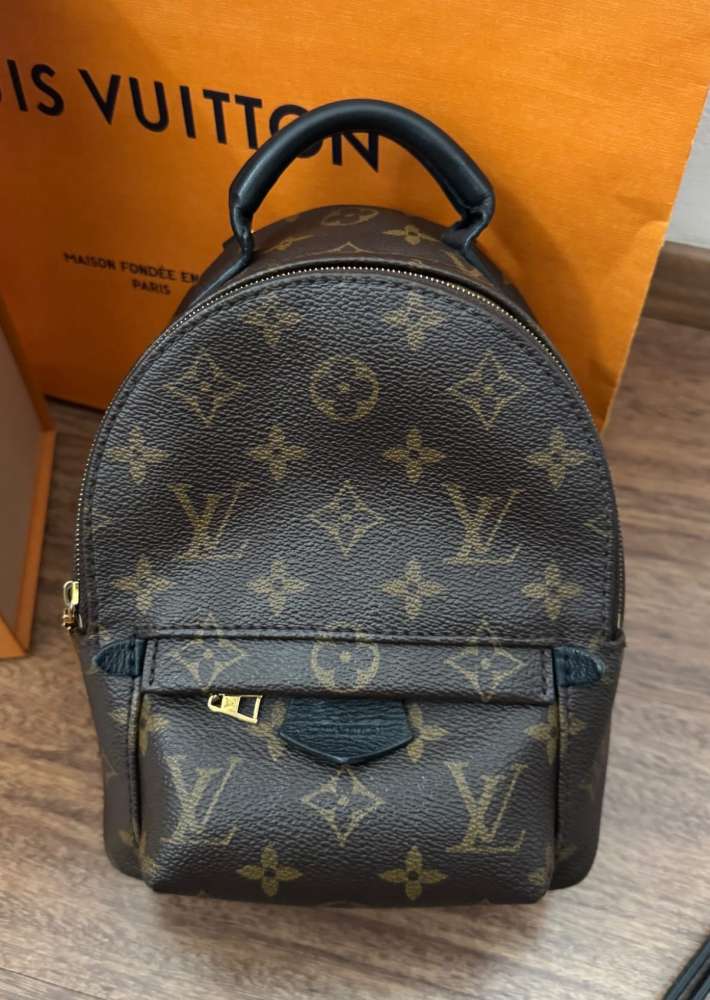 LV Monogram Mini Palm Springs backpack