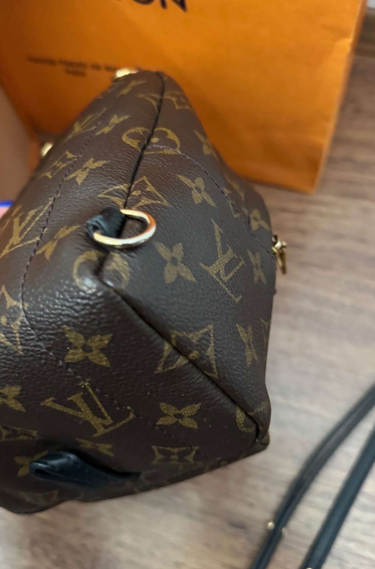 LV Monogram Mini Palm Springs backpack