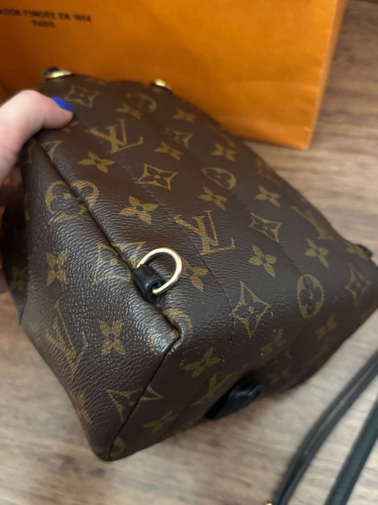LV Monogram Mini Palm Springs backpack