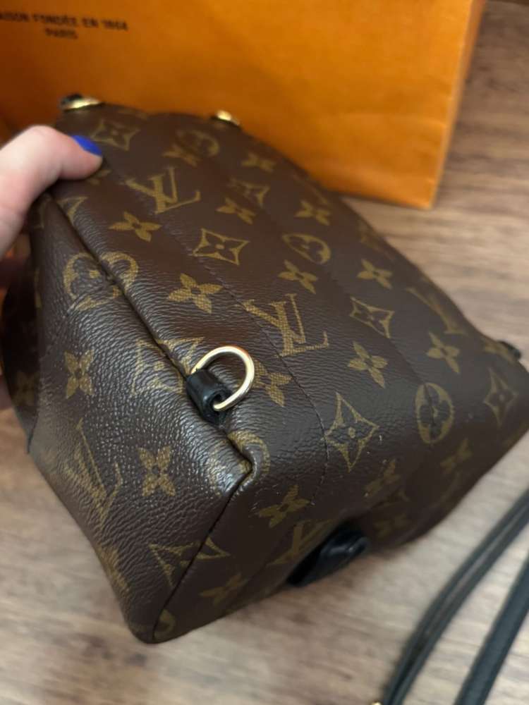 LV Monogram Mini Palm Springs backpack