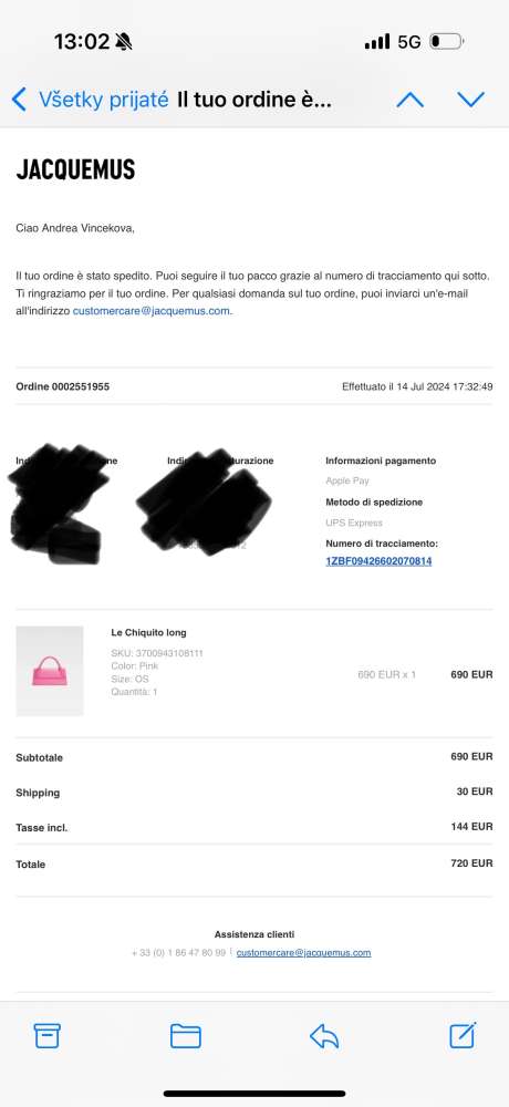 Jacquemus Le Chiquito Long