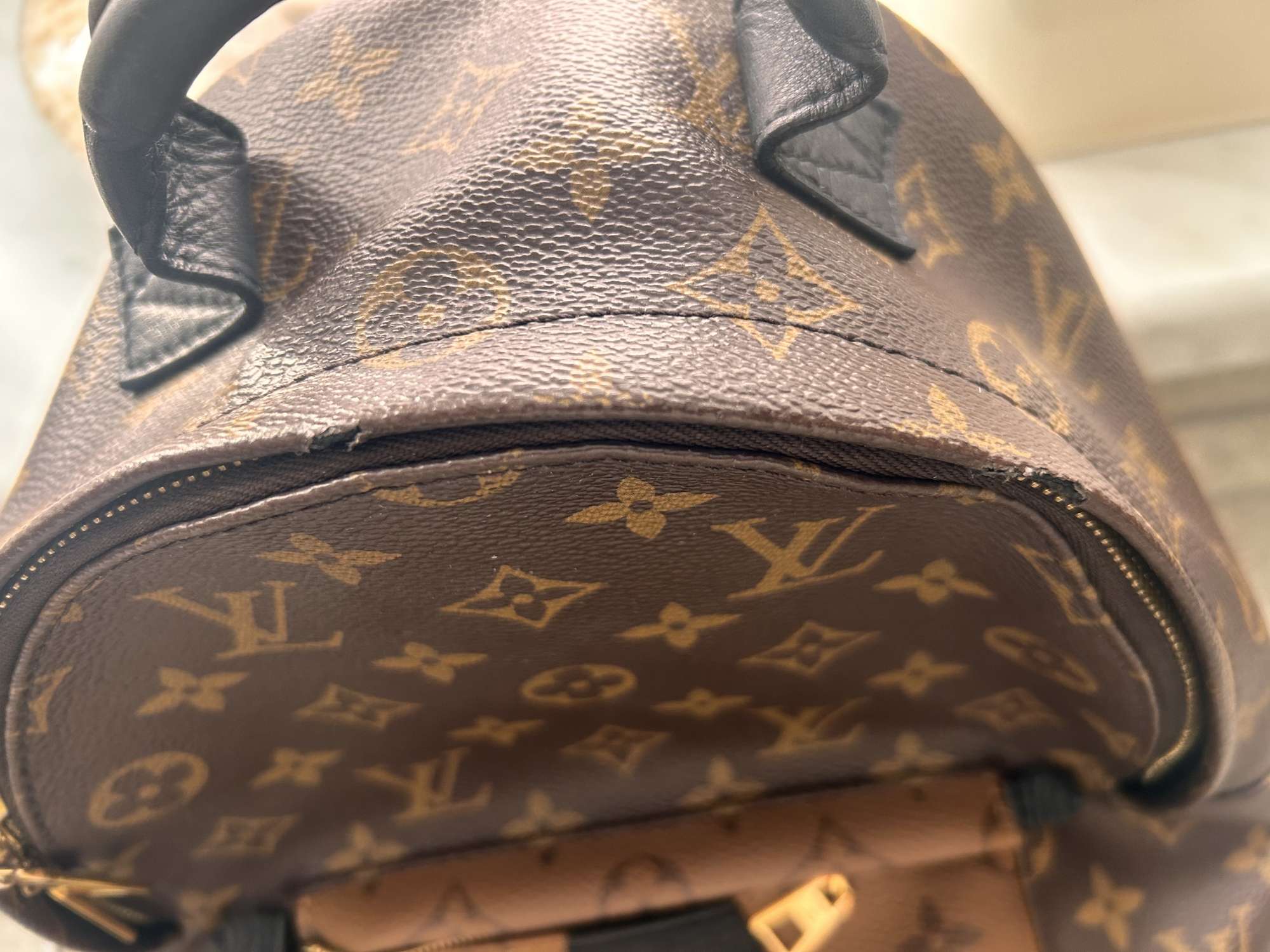 Louis Vuitton PM batoh