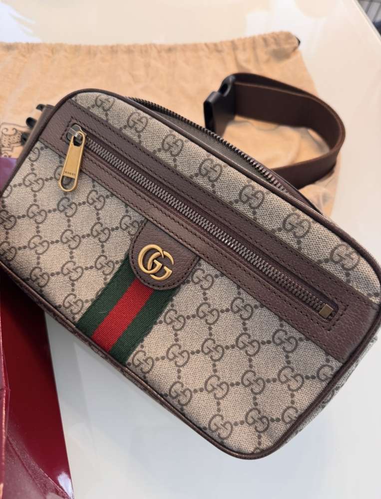 Gucci ophiada small belt bag
