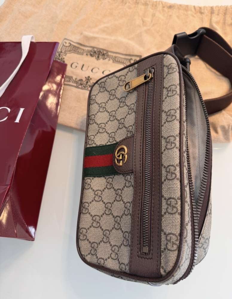 Gucci ophiada small belt bag