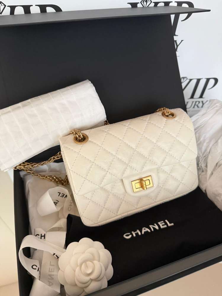 Chanel 255 iconic bag