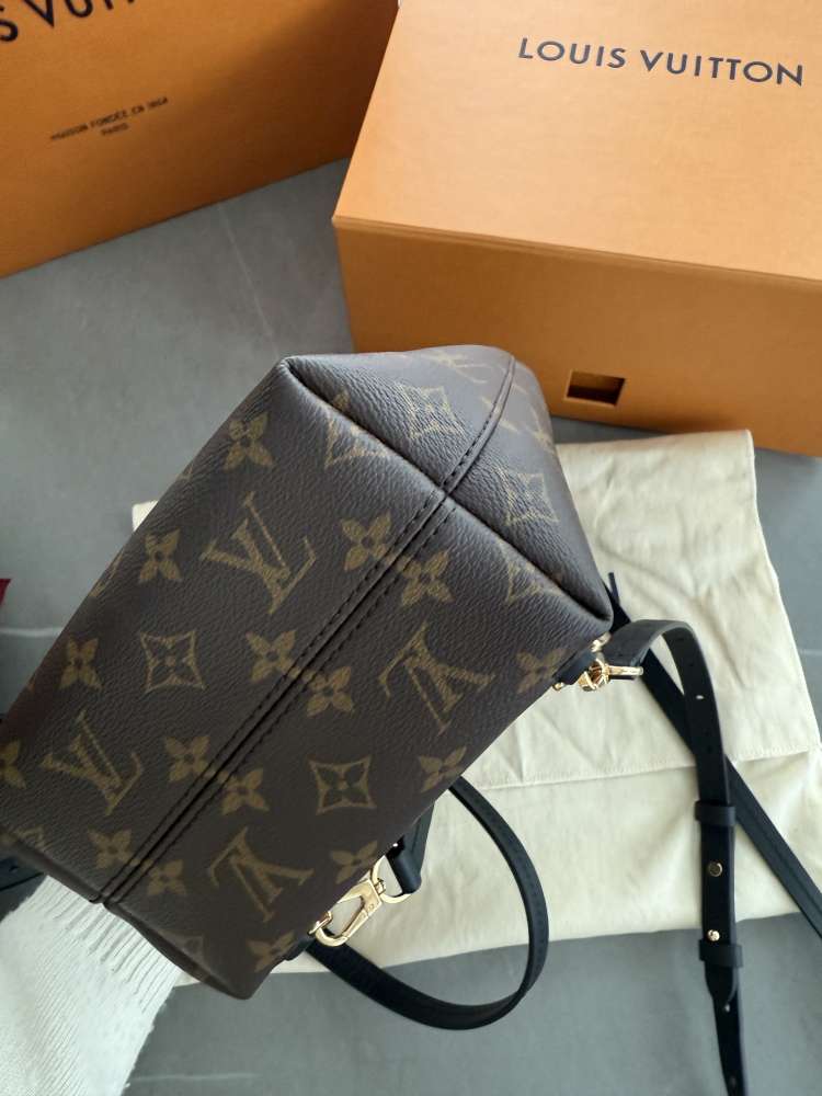 LOUIS VUITTON Montsouris monogram backpack