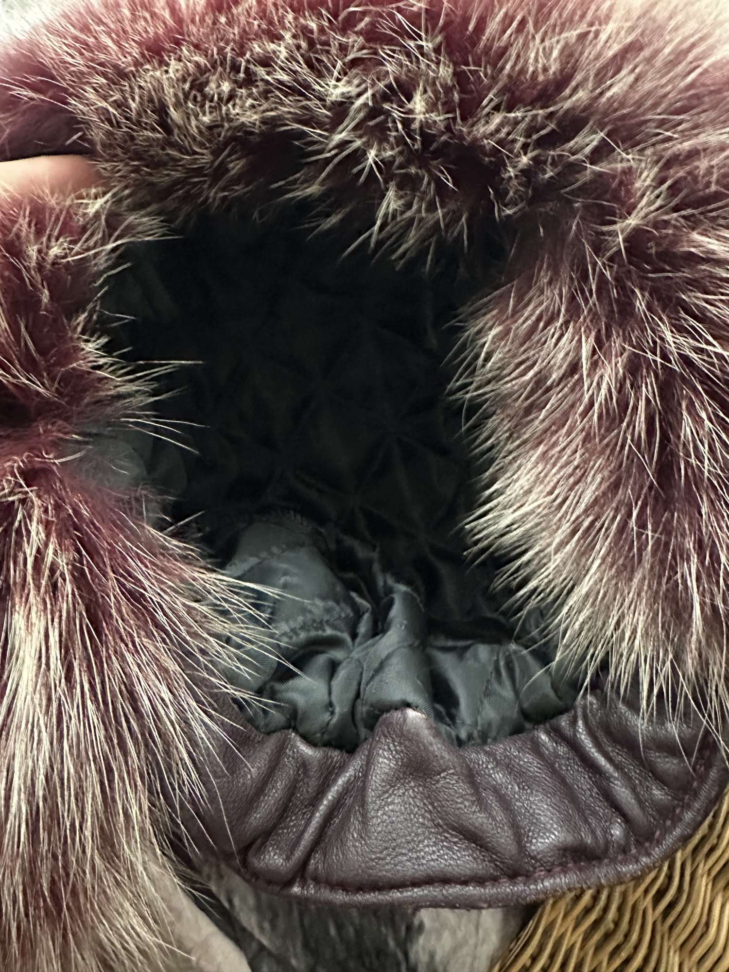 Extra husta baranica