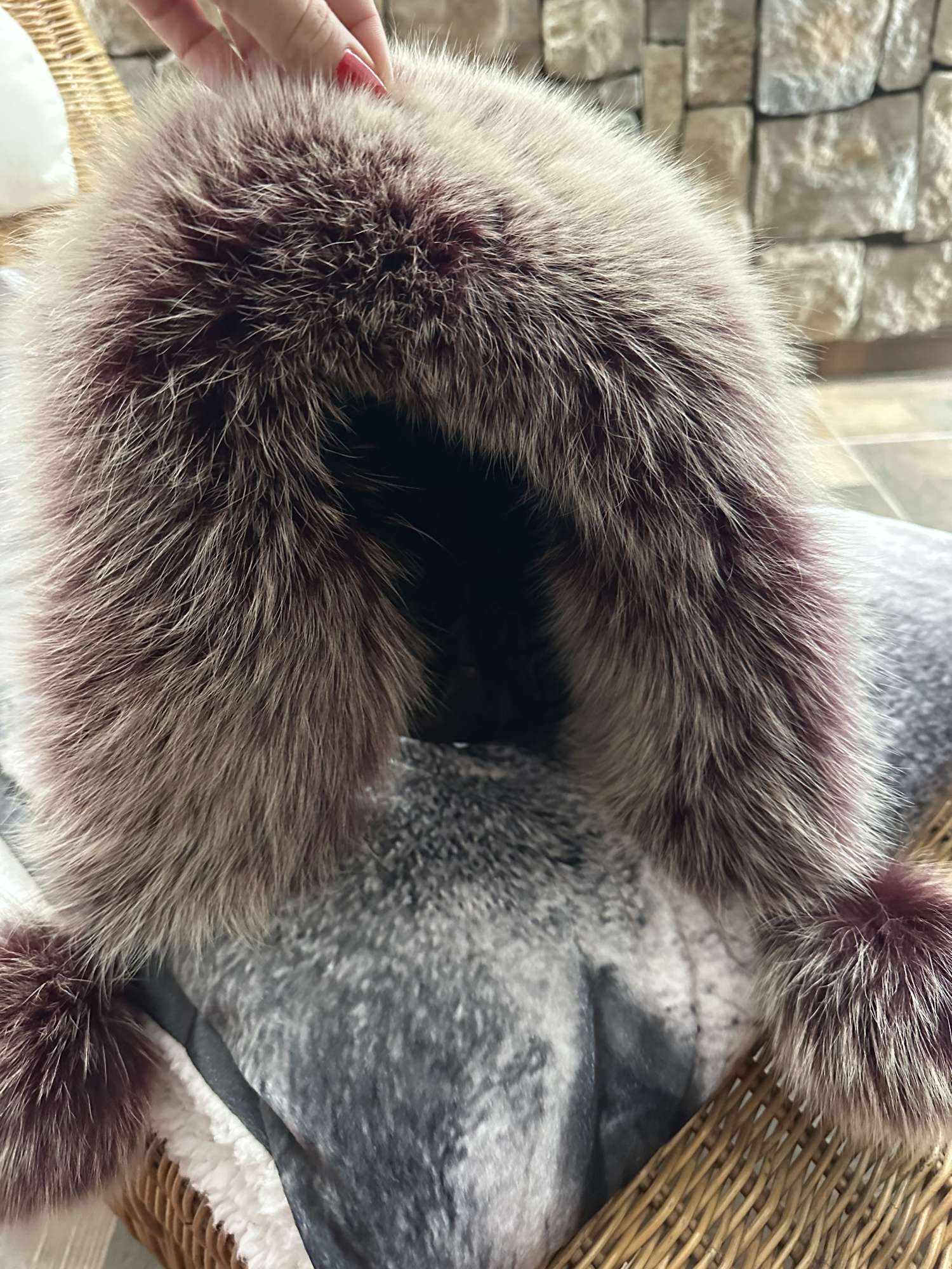 Extra husta baranica