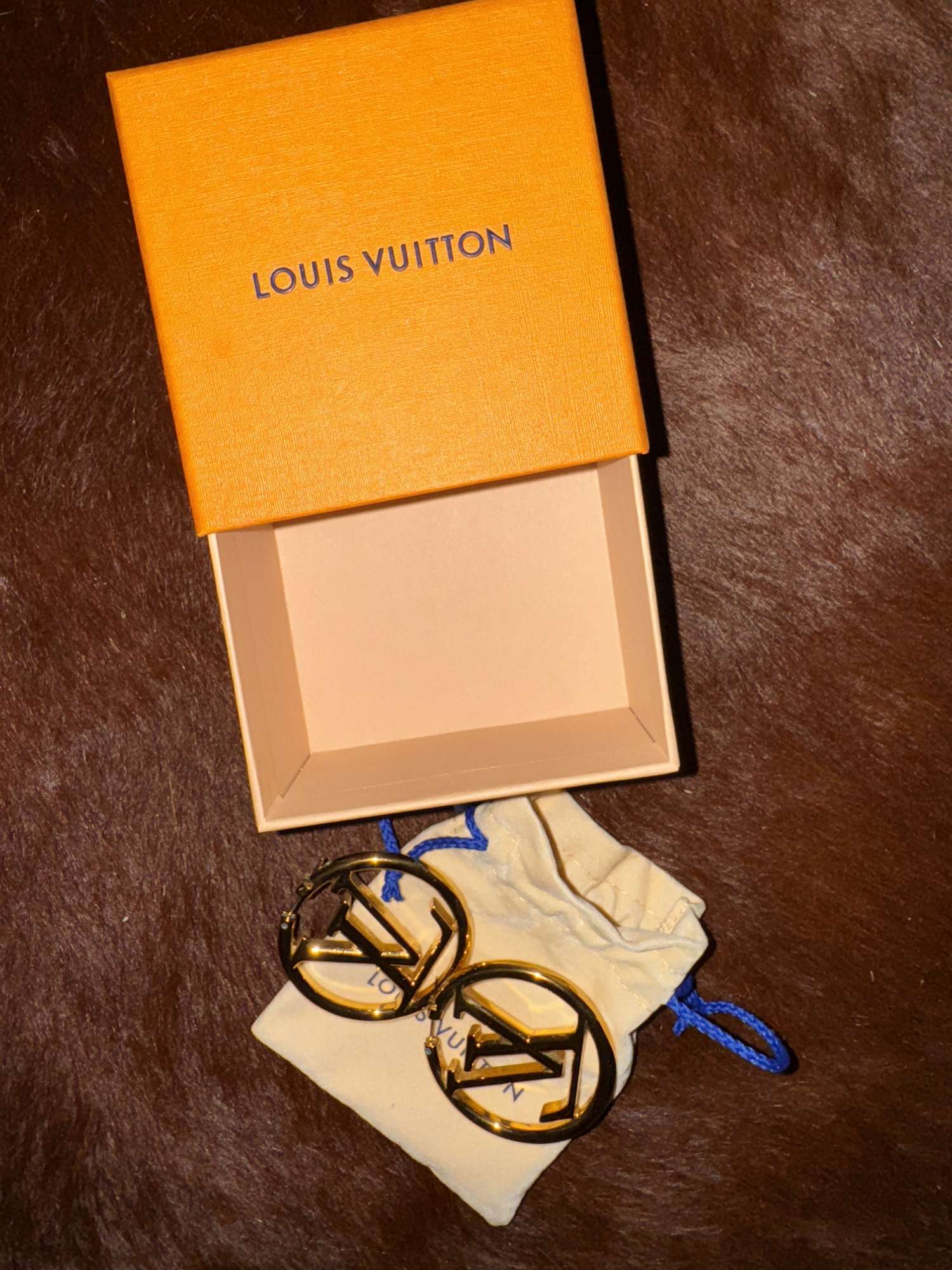 Náušnice kruhy Louis Vuitton