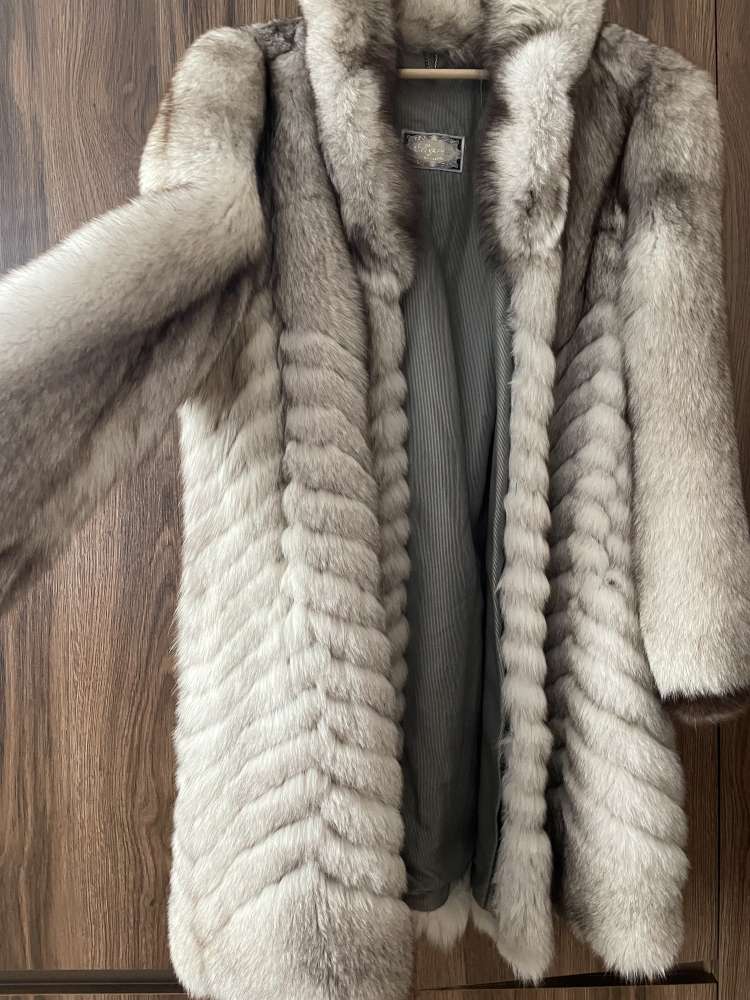 Kozuch z polarnej lisky