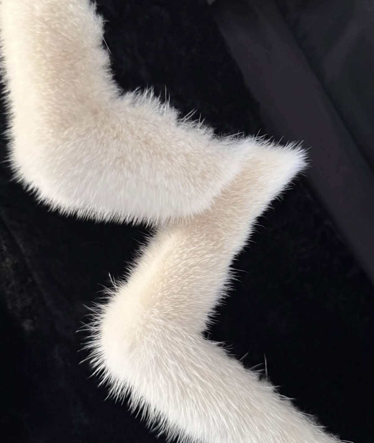 Kozuch perzian norka